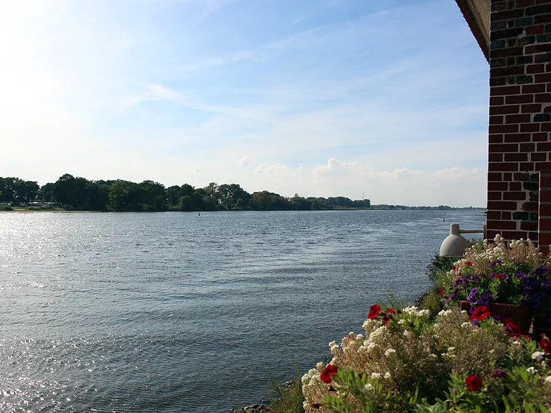 img_5949_800 Blick auf die Elbe