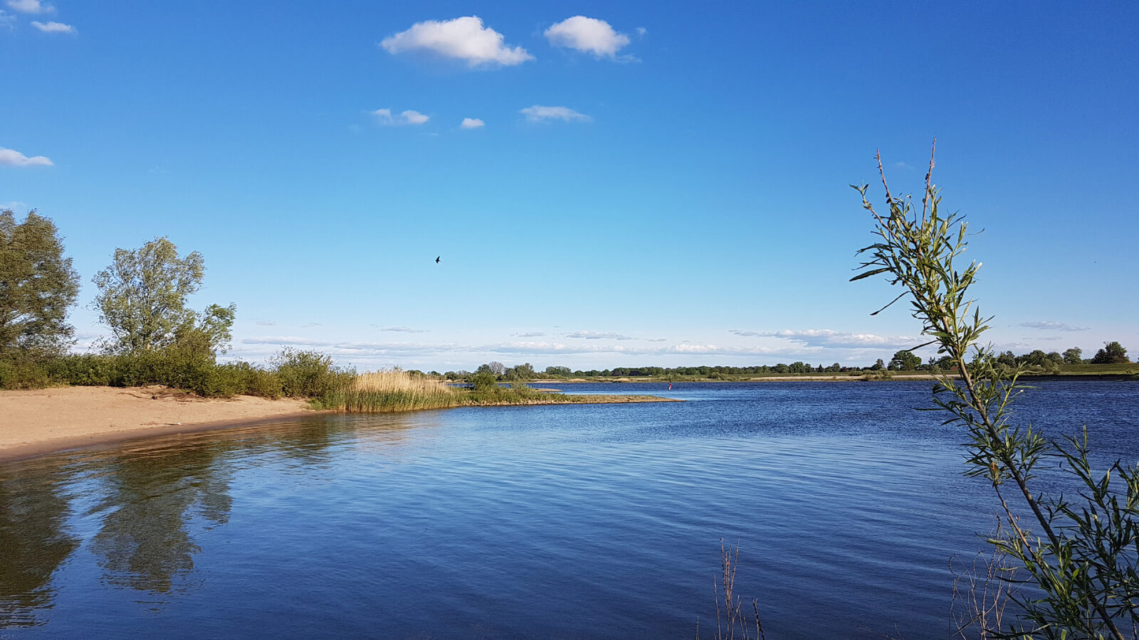 Elbstrand in Lauenburg