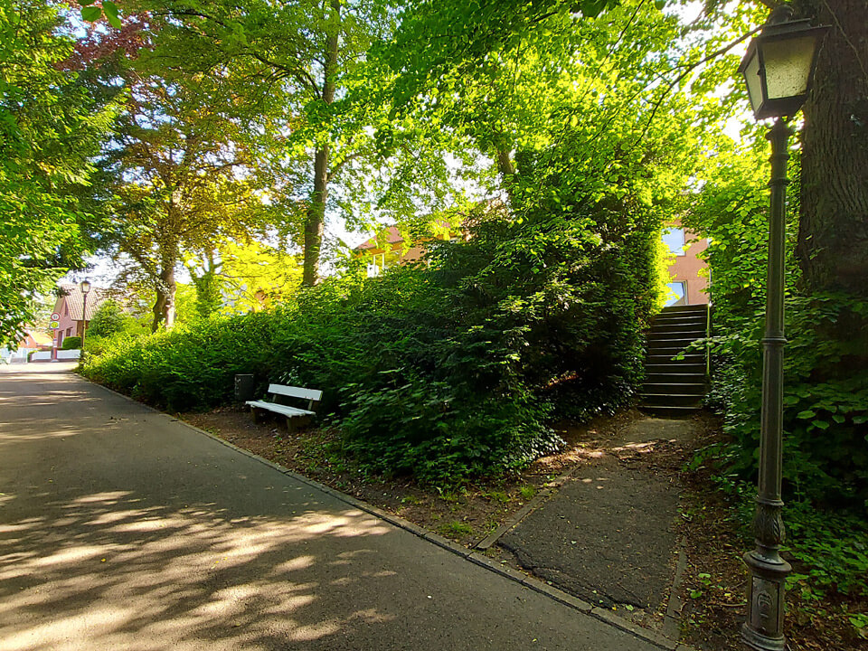 Spazieren gehen - Im Sommer unter einem grünen Blätterdach. Weg zur Fährtreppe