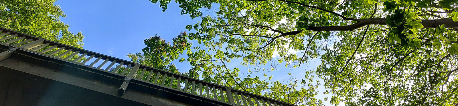 Brücke über die Fährtreppe Brücke über die Fährtreppe