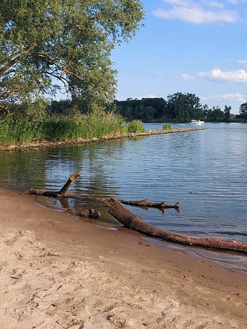 Elbestrand Hohes Elbufer Elbestrand Hohes Elbufer