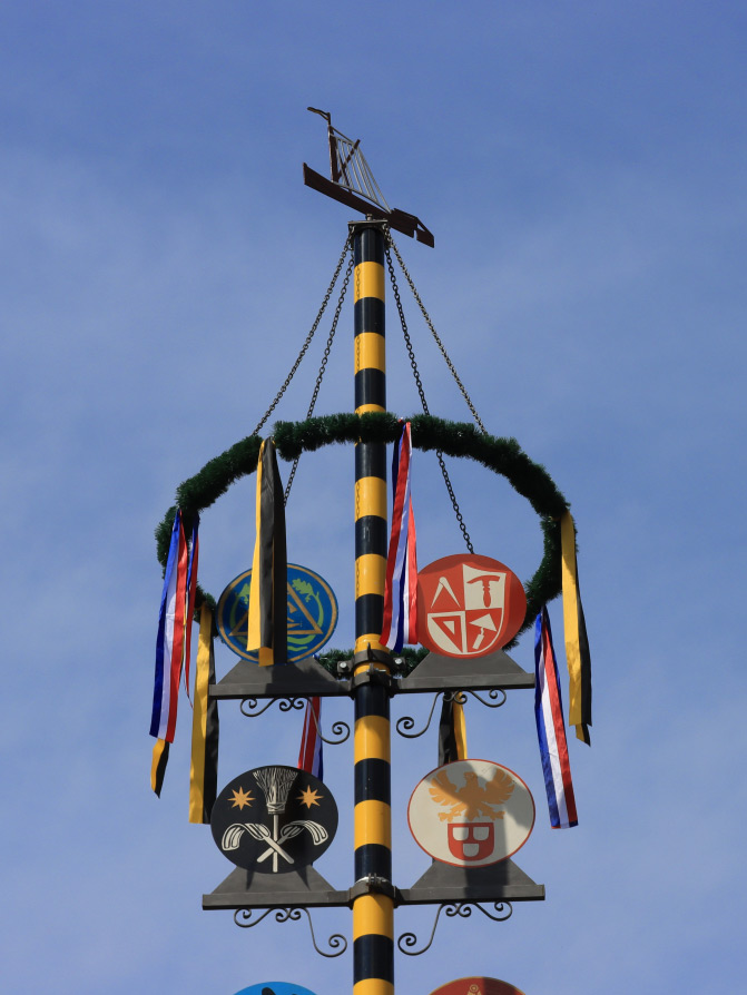 Maibaum der Stadt Lauenburg/Elbe