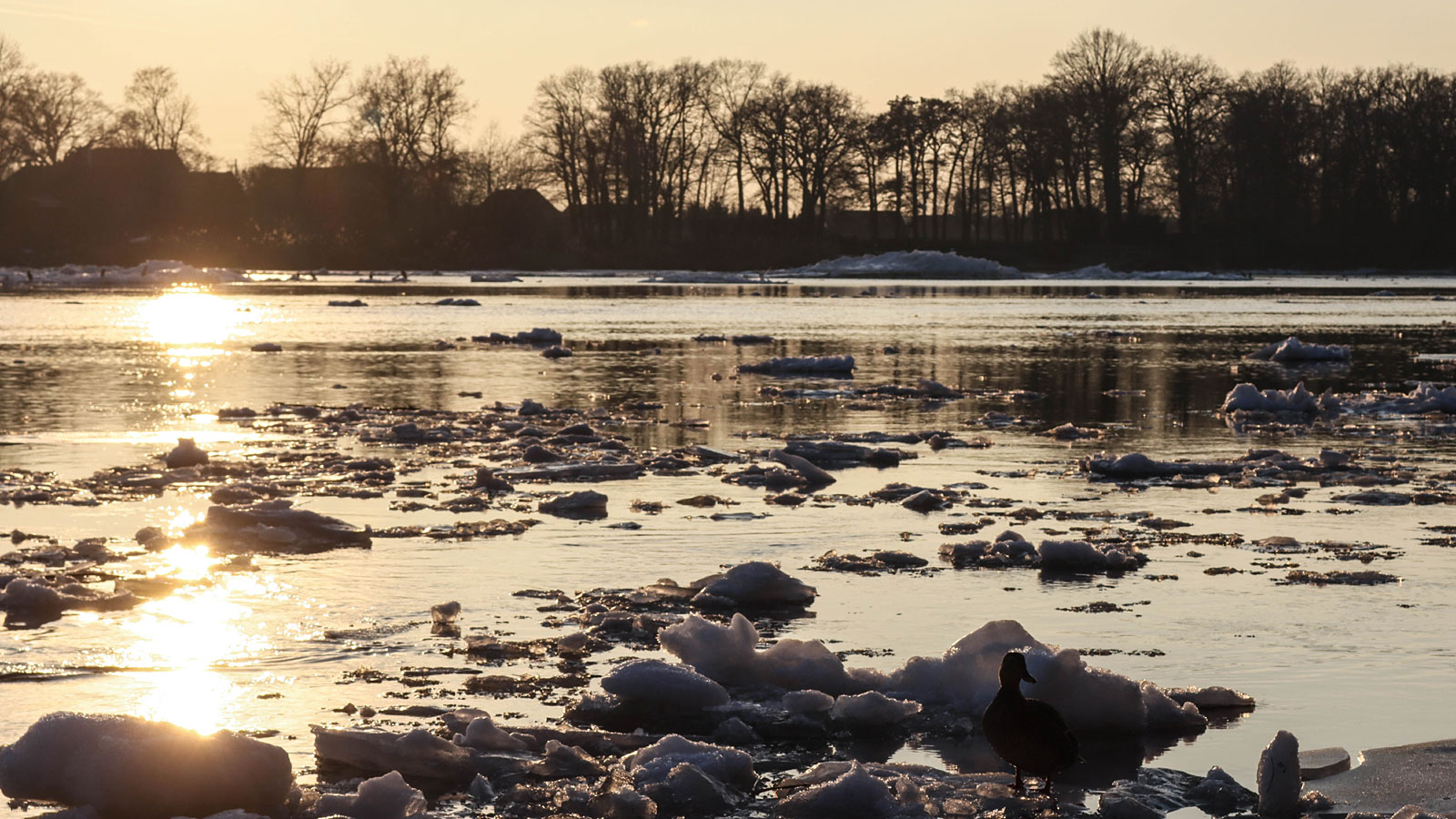 Eisschollen auf der Elbe vor Lauenburg im Sonnenuntergang