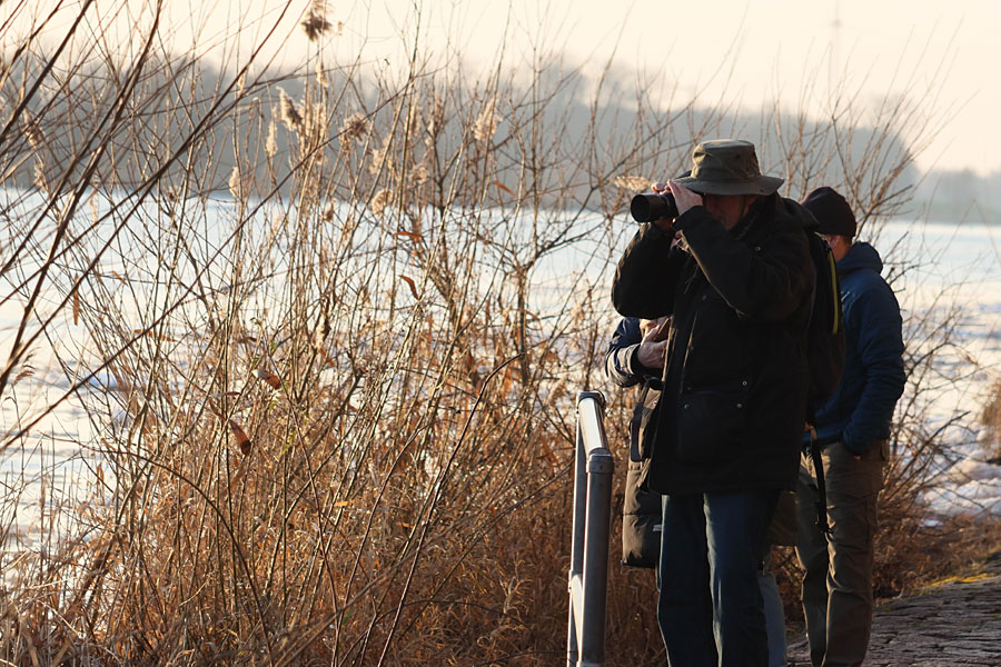 Eisschollen auf der Elbe vor Lauenburg sind ein Fest für Fotografen