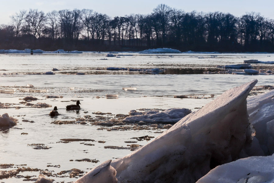 Das Eis am Ufer ist viele Zentimeter dick.